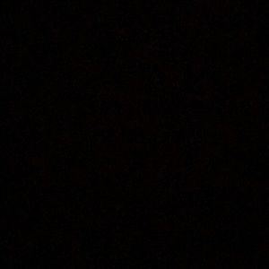 Meet your Posher, Daisy